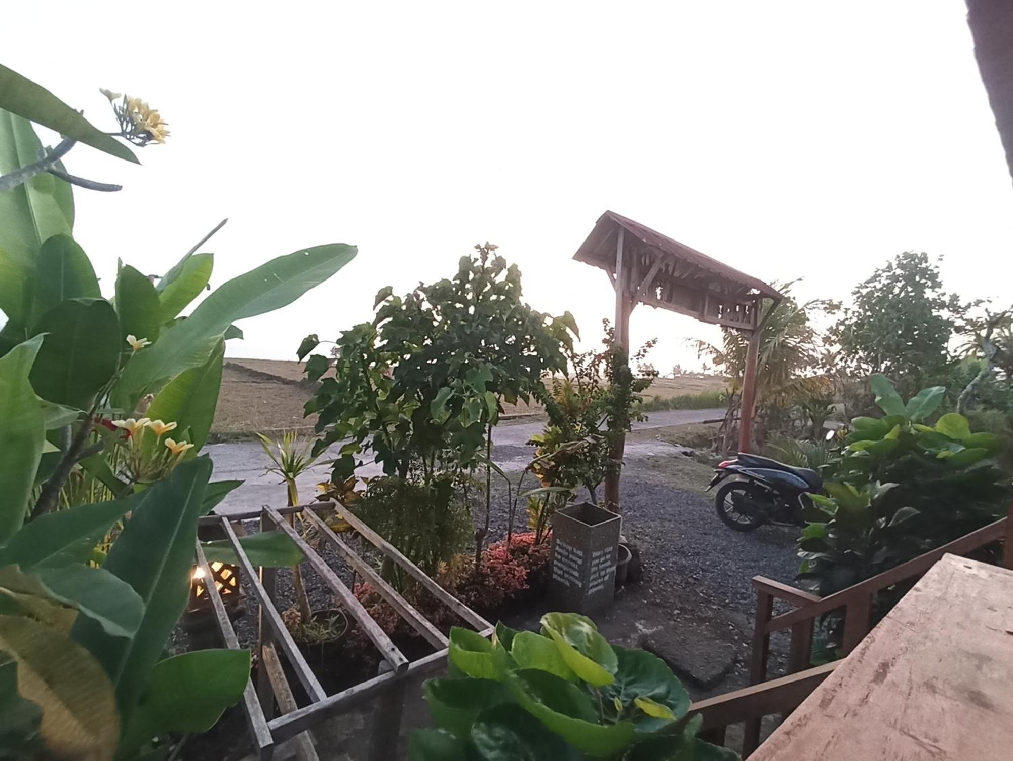 Ayolah Surf House &Surf Camp Apartman Jembrana Kültér fotó